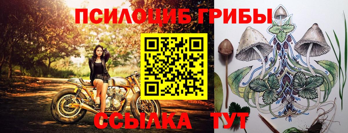 Псилоцибиновые грибы ЛСД Каспийск