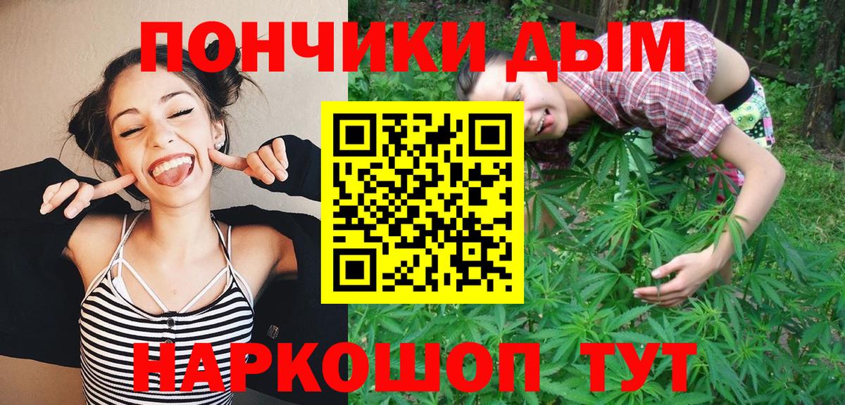 Каннабис OG Kush Каспийск